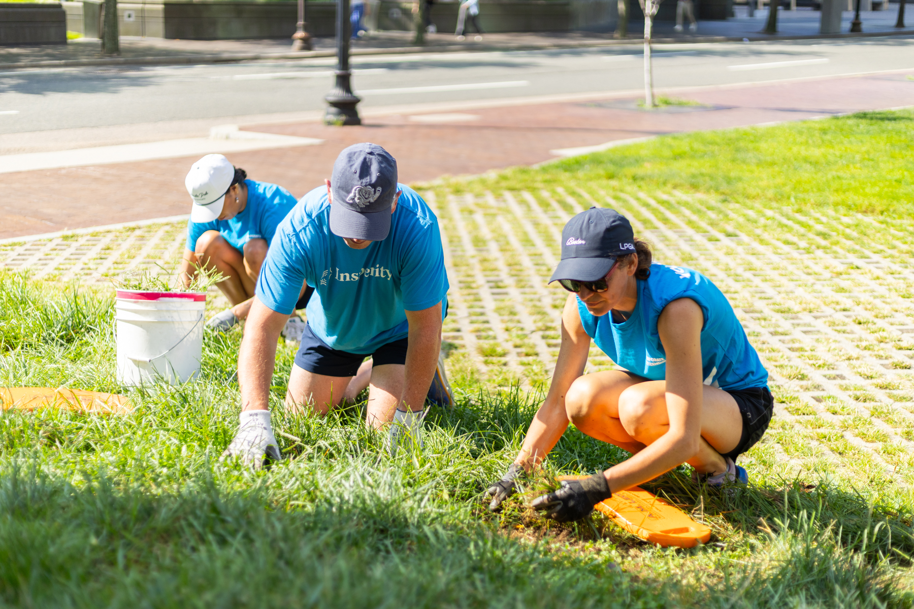 Governance and board work